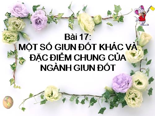 Bài 17. Một số giun đốt khác và đặc điểm chung của ngành Giun đốt