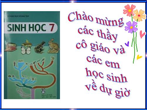 Bài 21. Đặc điểm chung và vai trò của ngành Thân mềm