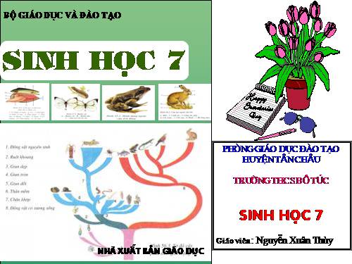 Bài 27. Đa dạng và đặc điểm chung của lớp Sâu bọ