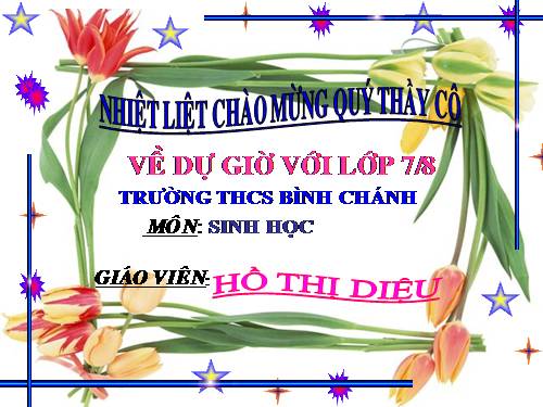 Bài 26. Châu chấu