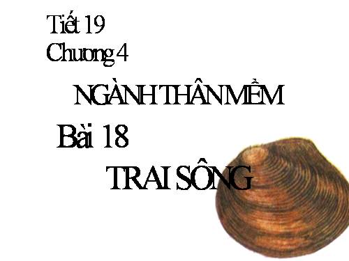 Bài 18. Trai sông