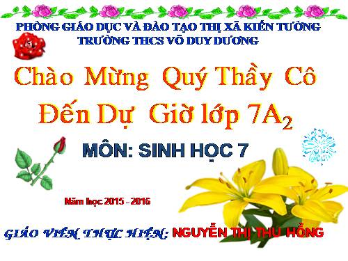 Bài 10. Đặc điểm chung và vai trò của ngành Ruột khoang