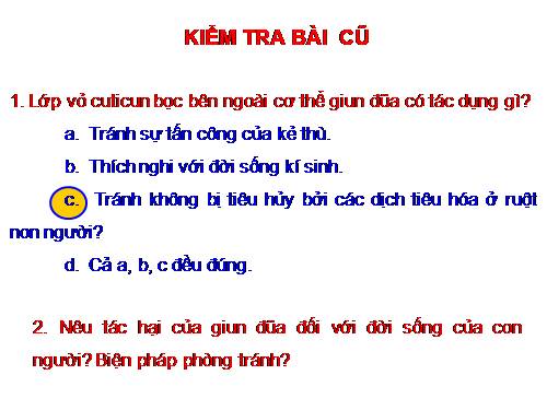 Bài 14. Một số giun tròn khác và đặc điểm chung của ngành Giun tròn