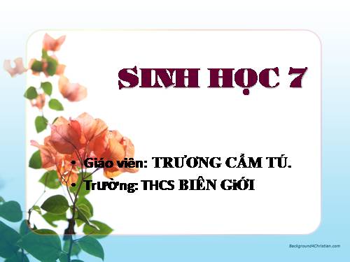 Bài 10. Đặc điểm chung và vai trò của ngành Ruột khoang