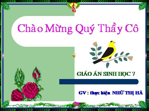 Bài 10. Đặc điểm chung và vai trò của ngành Ruột khoang