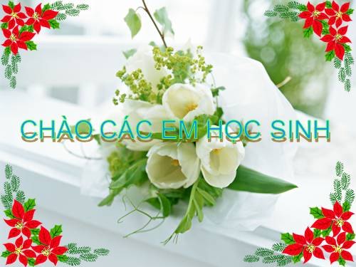 Bài 12. Một số giun dẹp khác và đặc điểm chung của ngành Giun dẹp