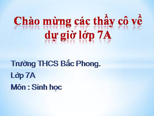 Bài 13. Giun đũa