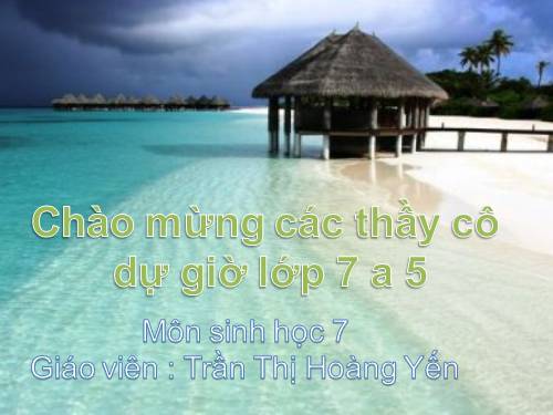 Bài 10. Đặc điểm chung và vai trò của ngành Ruột khoang