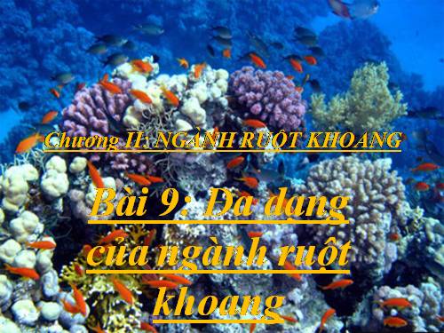 Bài 9. Đa dạng của ngành Ruột khoang