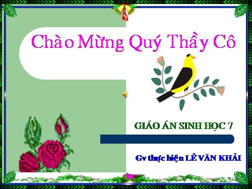 Bài 44. Đa dạng và đặc điểm chung của lớp Chim