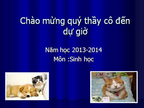 Bài 1. Thế giới động vật đa dạng, phong phú