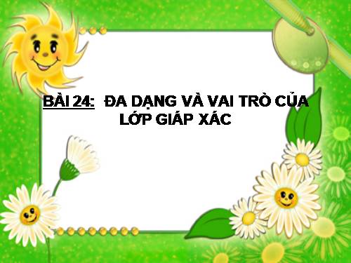 Bài 24. Đa dạng và vai trò của lớp Giáp xác