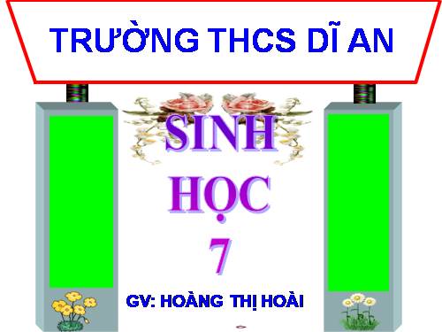 Bài 15. Giun đất