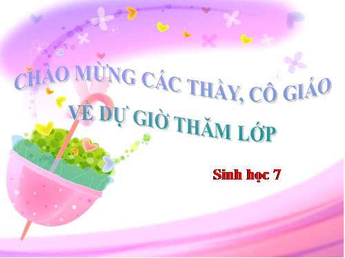 Bài 41. Chim bồ câu