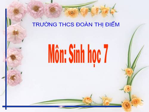 Bài 47. Cấu tạo trong của thỏ