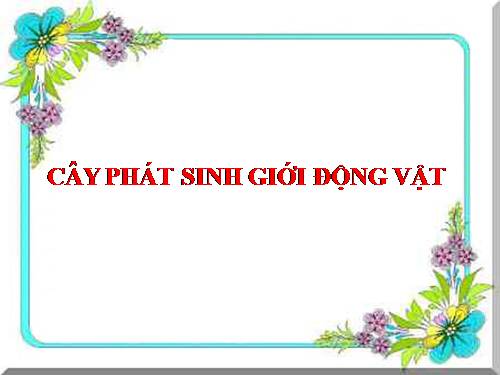 Bài 56. Cây phát sinh giới Động vật