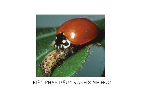 Bài 59. Biện pháp đấu tranh sinh học