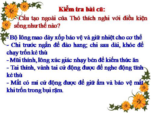 Bài 47. Cấu tạo trong của thỏ