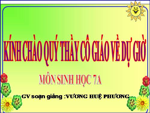 Bài 56. Cây phát sinh giới Động vật