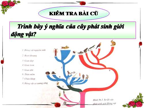 Bài 57. Đa dạng sinh học