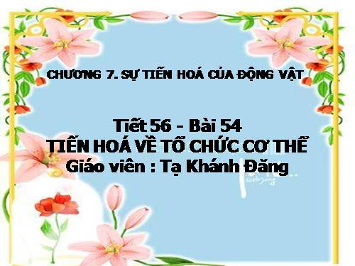 Bài 54. Tiến hoá về tổ chức cơ thể