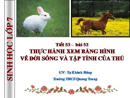 Bài 52. Thực hành: Xem băng hình về đời sống và tập tính của Thú