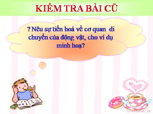 Bài 54. Tiến hoá về tổ chức cơ thể