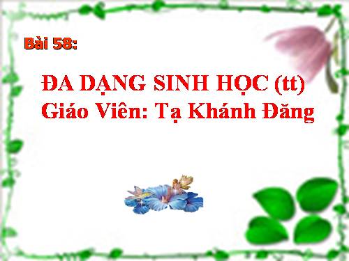 Bài 58. Đa dạng sinh học (tiếp theo)