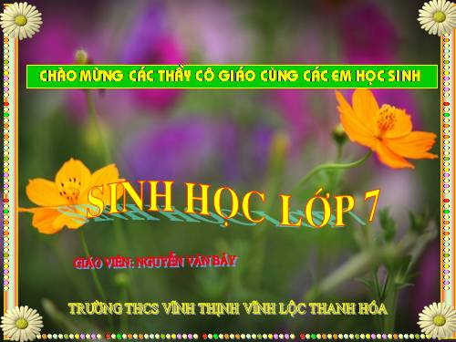 Bài 24. Đa dạng và vai trò của lớp Giáp xác