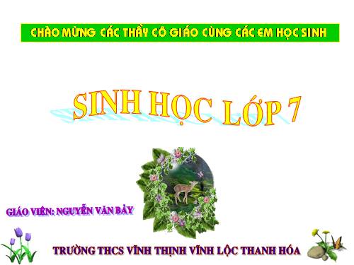 Bài 51. Đa dạng của lớp Thú: Các bộ Móng guốc và bộ Linh trưởng