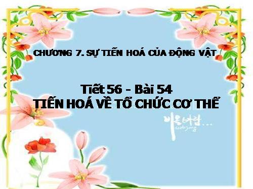 Bài 54. Tiến hoá về tổ chức cơ thể