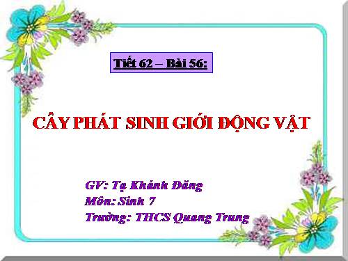 Bài 56. Cây phát sinh giới Động vật