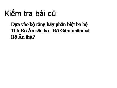 Bài 51. Đa dạng của lớp Thú: Các bộ Móng guốc và bộ Linh trưởng