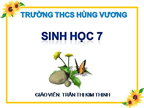 Bài 51. Đa dạng của lớp Thú: Các bộ Móng guốc và bộ Linh trưởng