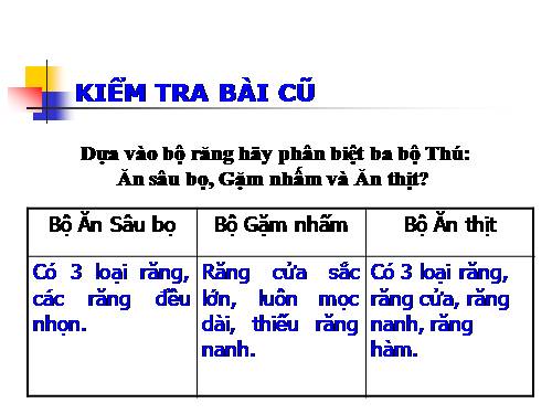 Bài 51. Đa dạng của lớp Thú: Các bộ Móng guốc và bộ Linh trưởng