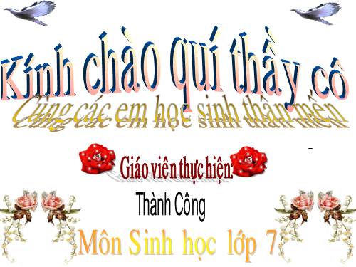 Bài 52. Thực hành: Xem băng hình về đời sống và tập tính của Thú