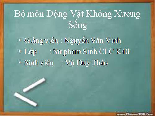 Bài 14. Một số giun tròn khác và đặc điểm chung của ngành Giun tròn