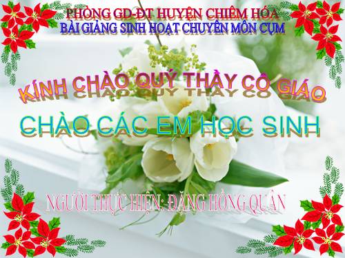 Bài 48. Đa dạng của lớp Thú: Bộ Thú huyệt, bộ Thú túi