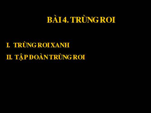 Bài 4. Trùng roi