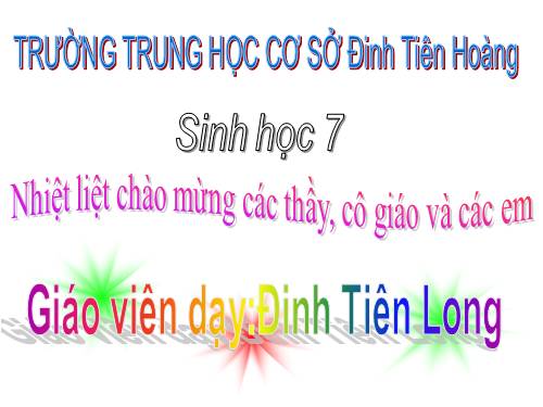 Bài 47. Cấu tạo trong của thỏ