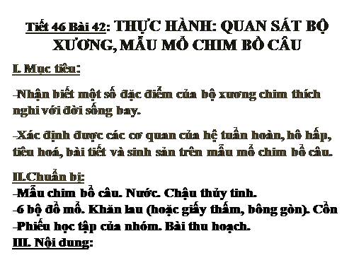 Bài 42. Thực hành: Quan sát bộ xương, mẫu mổ chim bồ câu