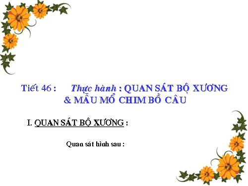 Bài 42. Thực hành: Quan sát bộ xương, mẫu mổ chim bồ câu