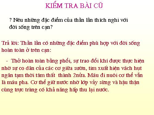 Bài 40. Đa dạng và đặc điểm chung của lớp Bò sát