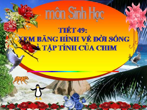 Bài 45. Thực hành: Xem băng hình về đời sống và tập tính của chim