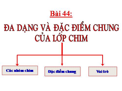 Bài 44. Đa dạng và đặc điểm chung của lớp Chim