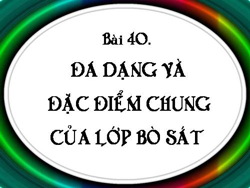 Bài 40. Đa dạng và đặc điểm chung của lớp Bò sát