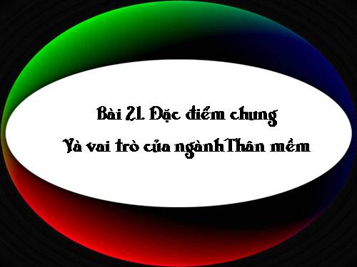 Bài 21. Đặc điểm chung và vai trò của ngành Thân mềm