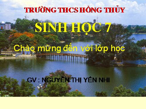 Bài 39. Cấu tạo trong của thằn lằn