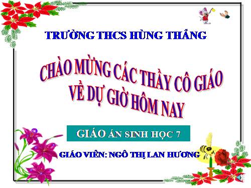 Bài 37. Đa dạng và đặc điểm chung của lớp Lưỡng cư