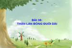 Bài 38. Thằn lằn bóng đuôi dài